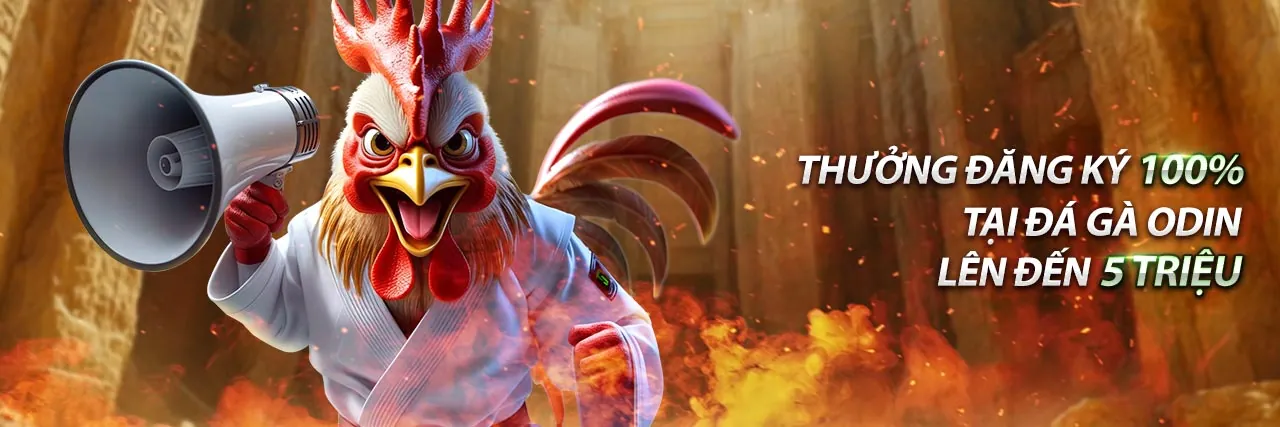 Biểu đồ hướng dẫn từng bước đăng ký, nạp tiền và đặt cược tại bj888